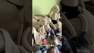 Проснулись 😃