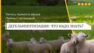 ДЕГЕЛЬМИНТИЗАЦИЯ ОВЕЦ: чем, когда и какие сложности ждут?