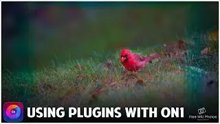 Get The Most Out Of Your Photoshop Plugins With On1 Photo Raw 2023.5