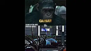 Caesar vs Blue #jurassicworld #planetoftheapes #caesar #vsbattle #vsedit #whoisstrongest #wis