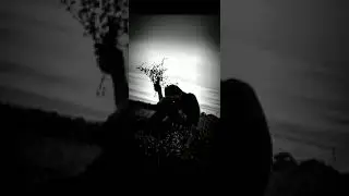 Asphyxia (纯音乐) remix