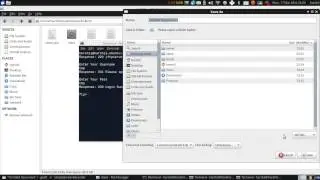 FTP Server and Client Demostration.