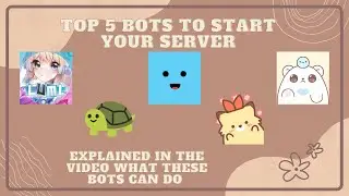 ༊*·˚ Top 5 bots you need to make your server aesthetic