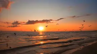 It's Impossible (Somos novios)  -  Living Strings