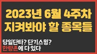 2023년 6월 4주차 한량존 관심종목