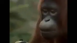 Суббота