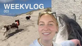 PAARDEN DINGEN, LILLY VERMIST EN B&B VOL LIEFDE REUNIE | Weekvloggie #3