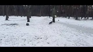 16 февраля 2022 г.