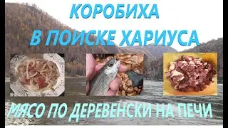 Рыбалка на Хариуса р. Бухтарма / Мясо по Деревенски на Печи