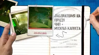 Grounded 🐜 Лаборатория на пруду | Прохождение | Где найти мускул-капусту | Гайды