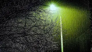 🎧 The First Hour of 2021 Captured in 3D Audio - Binaural Sounds of Rain, Fireworks and Celebration 🎧