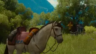 The Witcher 3