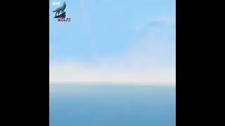 Мурғои серёзни 2 в кино 