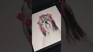 Создаем коммерческую иллюстрацию в Procreate для груминг салона