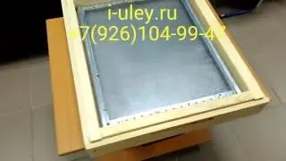Противоварроатозная сетка