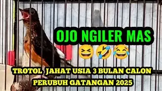 NGERIHH ‼️ TROTOL JAH*T USIA 3 BULAN MASA DEPAN CERAH ......!!!