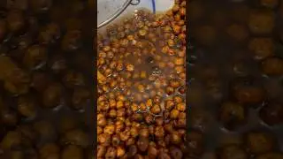 Готовим тигровый орех на Кубок России! 