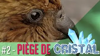 Piège de cristal - Quand les Kéas font la loi - Clin d'Oeil #2