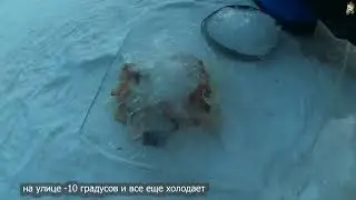 Сагудай/Сугудай/Загудай/ Рыбка на берегу Байкала в -10 градусов #вкусняшка #байкал #baikal