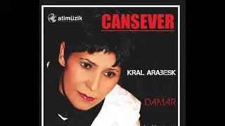 🌹 Terketmek ne kadar kolay - Cansever🌹