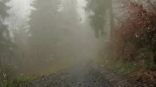 Gök gürültüsü ve yağmur sesleri ile uyuyun. Uykusuzluk ve uyku bozuklukları için