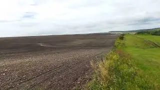 14 августа 2024 г.