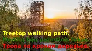 Treetop walking path (Lithuania) Anykščiai (Lietuva) Аникшяй (Литва) 2022