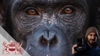 Elevating Science: The Power of Photography | Roberto García-Roa