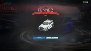 Aerial goal with fennec