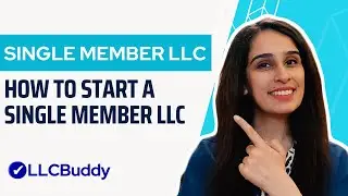 How to Start a Single-Member LLC in 2024 - Step by Step Guide