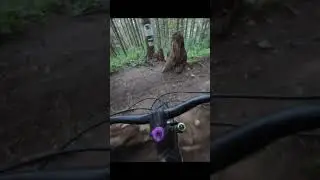 This bike is wicked