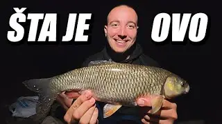 Riba mi odvukla i otkinula štap! - Dubinsko pecanje na Bosni