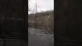 1 января 2024 г.(4)