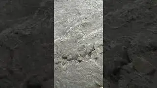 роза хутор набережная мзымта