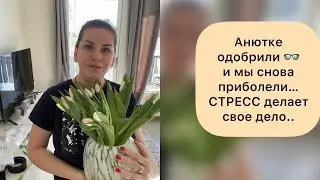 Купить цветы? Мне повод не нужен. Мы с Анюткой снова приболели 🤧