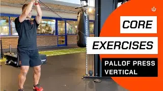 Pallof Press Vertical