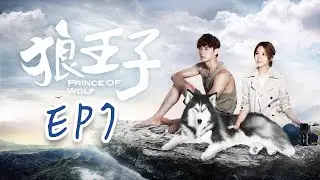 【ENG SUB】Prince of Wolf EP7 #fullepisode #prince #lovestory #drama #romance  #love