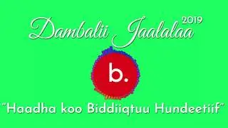 **New** 2019 Dambalii Jaalalaa- Harmee koof