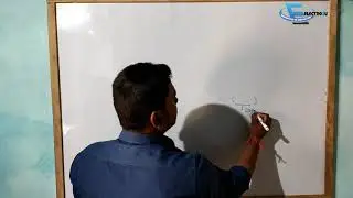 Function in c programming