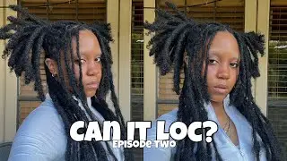“Can It Loc?” Episode 2 : Loc Extensions Added To Locs w/ Two Pigtails | Quick & Easy Hair Tutorial 