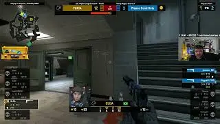 OLHA ESSE PLANT DIFERENCIADO NO CSGO DA OLGA GOAT