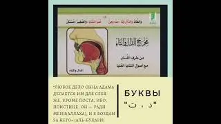 مخرج دال و تاء 