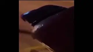 Who stole half of his car 😭