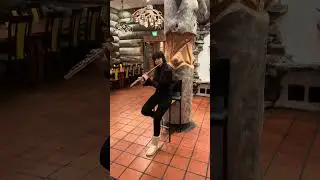 Lapland. Flute cover on the song "Killing Me Softly".