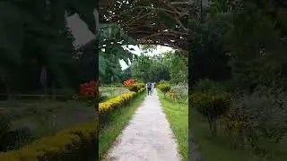Botanical Garden, Rajshahi University. Beautiful Evening.