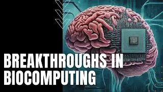 Breakthroughs in Biocomputing