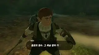 젤다 왕눈 고인물이 이가단 잡는 방법