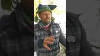 Ответы на вопросы
