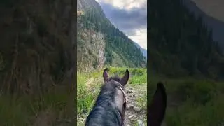 🇰🇬💚 Kyrgyzstanym | Alaiym 💚 