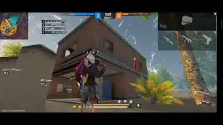 MOMENT HALEADSHOT